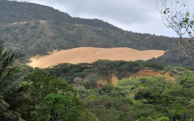 Cumbre ambiental retomará la polarizada negociación sobre el fondo de pérdidas y daños