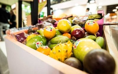 La Inocuidad de los alimentos también tiene su día