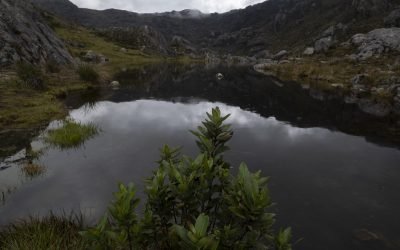 Poner el agua en el centro por protección de Santurbán: Minambiente