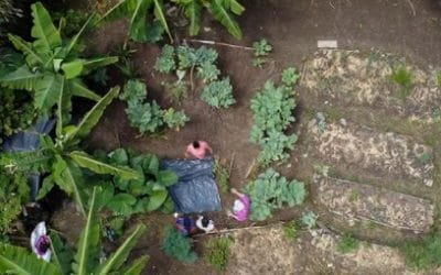 33 Madres de La Candelaria implementan huertas caseras y se forman en enfoque de género