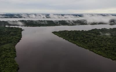 Gobierno anunció 22.300 efectivos de la Fuerza Pública para combatir delitos ambientales