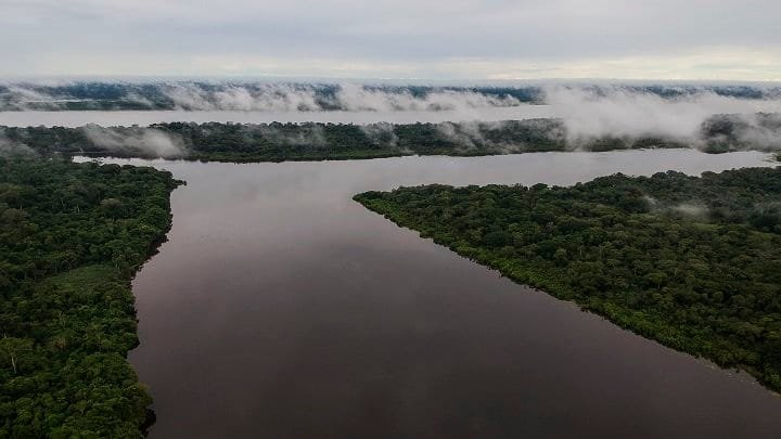 Gobierno anunció 22.300 efectivos de la Fuerza Pública para combatir delitos ambientales