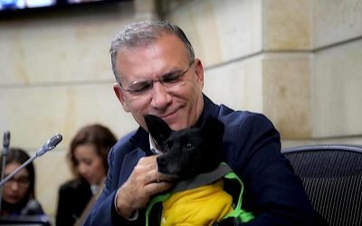 Congresistas podrán llevar al Senado a sus animales de compañía
