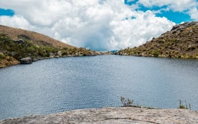 Estudian las causas de la pérdida de nitrógeno en suelos de páramo