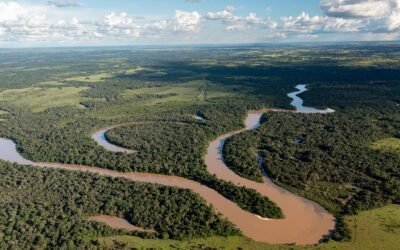 Destacan declaratoria de Serranía de Manacacías como área protegida