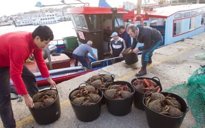 Buscan concienciar consumo de productos acuícolas sostenibles