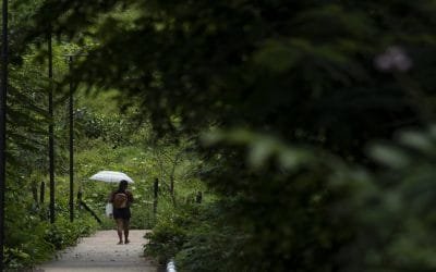 La PreCOP, gran evento sobre biodiversidad en Leticia