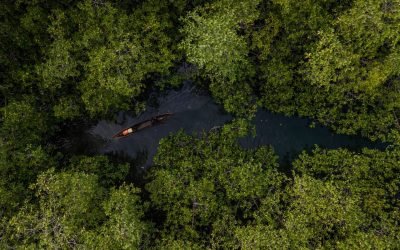 Aumenta presupuesto de inversión para sector ambiental