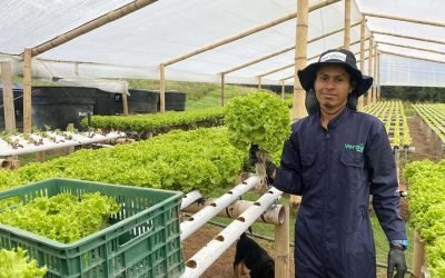 Afectados por lluvias en Medellín reciben insumos