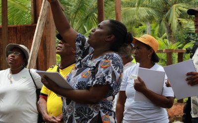 Biología, la ciencia que mejora procesos productivos en Chocó
