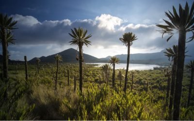 Prohíben plásticos de un solo uso en áreas protegidas y Parques Nacionales Naturales