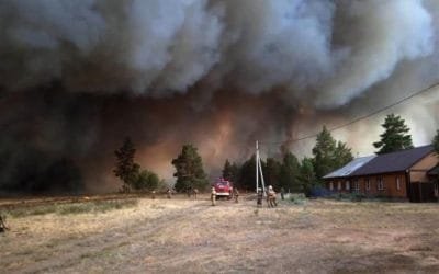 Incendios forestales en Rusia afectan a más de un millón de hectáreas