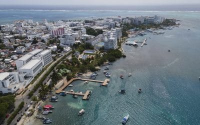 Isla de San Andrés, rumbo a ser una biodiverciudad