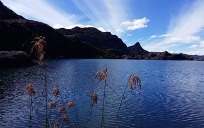 Archivan proyecto minero cerca al páramo de Santurbán