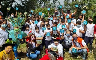 Más de 700 árboles han sembrado en El Poblado para compensar obras