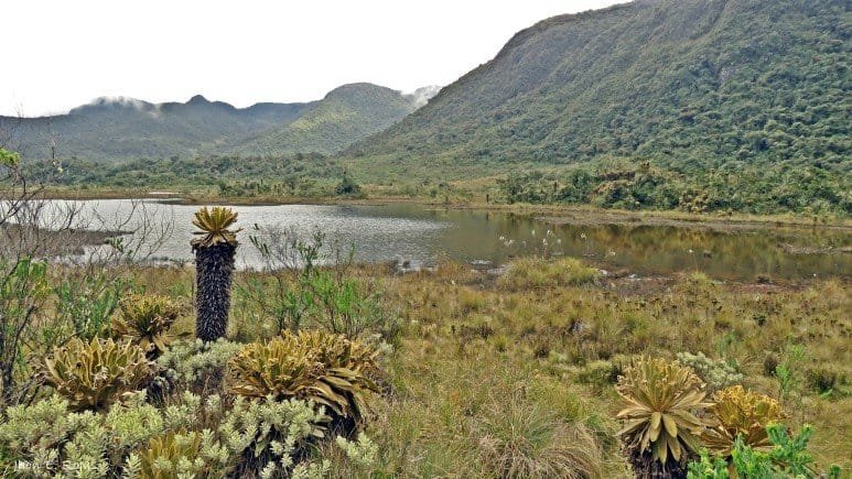 Reabren el Parque Nacional Natural Tatamá