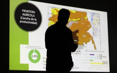 ¿Cómo contrarrestar la deforestación y el cambio climático?