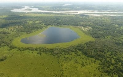 Fortalecerán protección de áreas protegidas en el Magdalena Medio