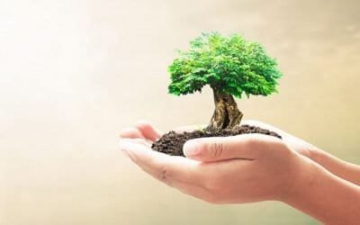Colombia parte de la promesa de empaques 100% sustentables