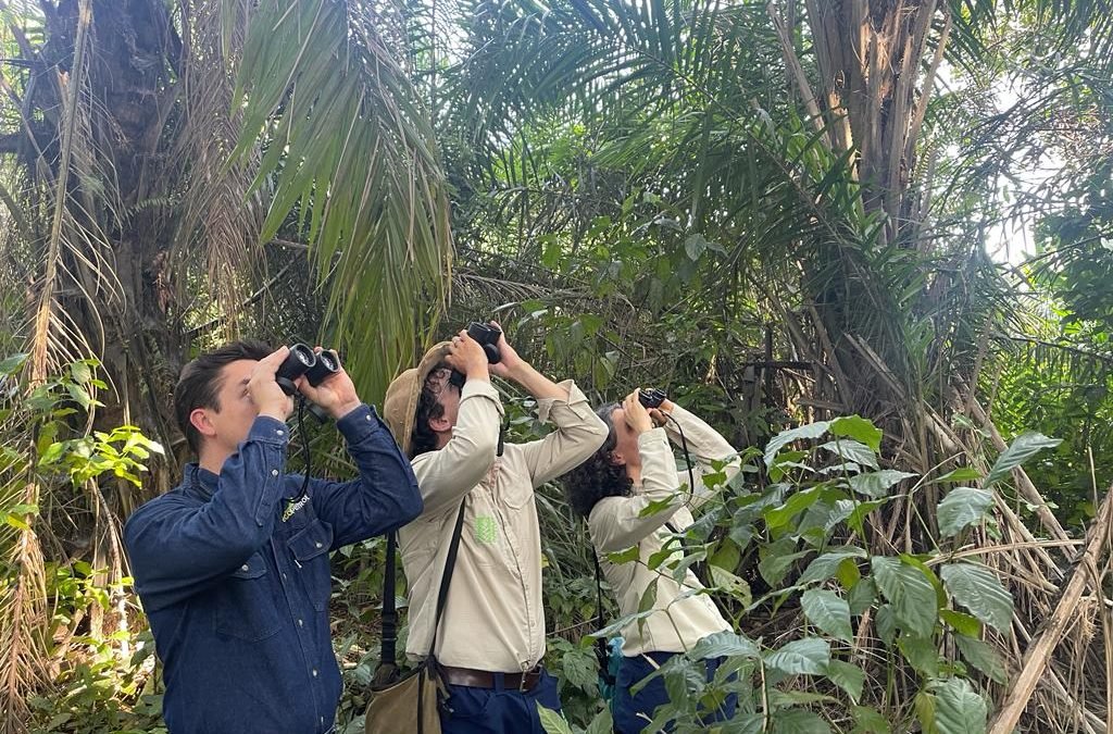 Anuncian creación de 9 ecorreservas para proteger la biodiversidad