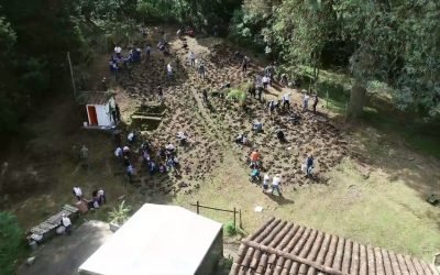 Sabaneta cuenta con un mariposario ambiental