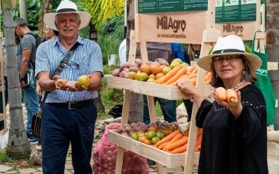 Movimiento MilAgro trabaja por consumo local de alimentos