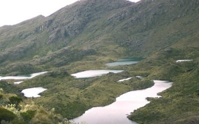 Procuraduría sí es competente para proteger el páramo de Santurbán