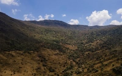 Colombia ya cuenta con su primer mapa de vegetación natural