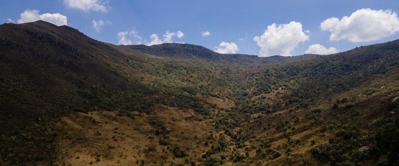 Colombia ya cuenta con su primer mapa de vegetación natural