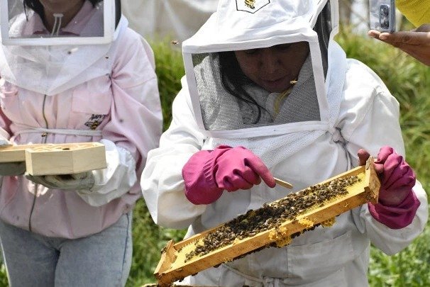 Abejas de Barrio, turismo digno que acelera la seguridad alimentaria