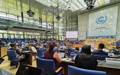 Colombia inicia su camino hacia la COP28 de cambio climático