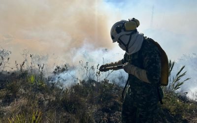 583 municipios en alerta roja de incendios por el fenómeno de El Niño