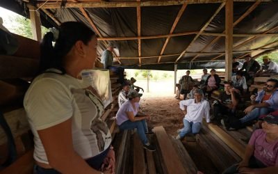 Madera amazónica contará con certificación FSC