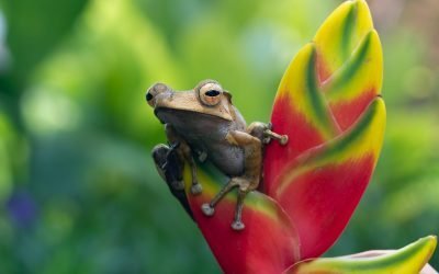 Este sábado 4 de mayo podrá disfrutar de talleres gratuitos sobre biología