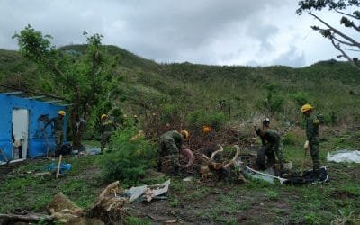 Con vivero buscan restaurar vegetación de islas Providencia y Santa Catalina