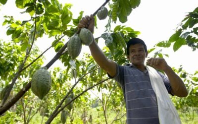 Gobierno Nacional expidió decreto para manejo sostenible de la flora silvestre y productos forestales no maderables