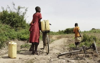 FAO pide ayuda urgente por la sequía en África