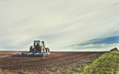 FAO lanza plan de respuesta para enfrentar al fenómeno de El Niño