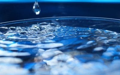 Gestionar uso del agua, clave para enfrentar su escasez en producción de alimentos