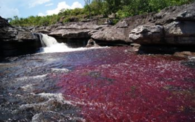Buscan fortalecer sistema de información para proteger el agua