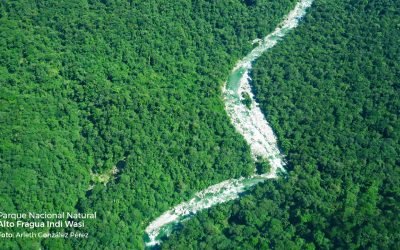 Celebran dos décadas del Parque Natural Alto Fragua