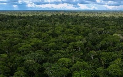 Abren convocatoria para Consejo Nacional Ambiental