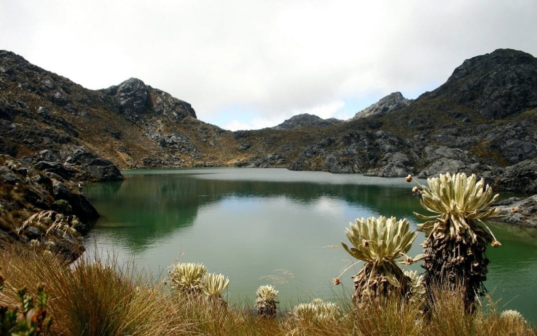 Minambiente anuncia millonaria inversión para páramos de Colombia