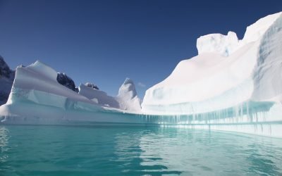 Equilibrio ecológico en la península antártica está en un punto crítico