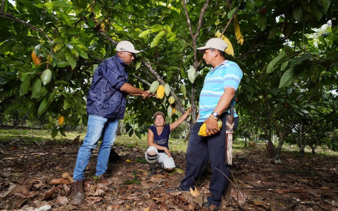 En el Día de los Bosques Tropicales, el Minambiente cuenta cómo lucha Colombia contra la deforestación