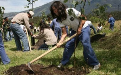 En este Mes de las Madres, regala un ramo de árboles para el planeta