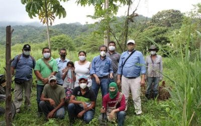 En el Día Mundial del Árbol se sembrarán 800 nativos