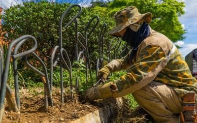 Más de 3.000 árboles se han sembrado este año en Medellín