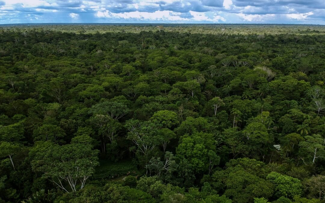 Nuevo impulso de US$18,4 millones del Fondo Mundial del Medio Ambiente