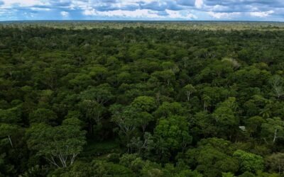 Nuevo impulso de US$18,4 millones del Fondo Mundial del Medio Ambiente